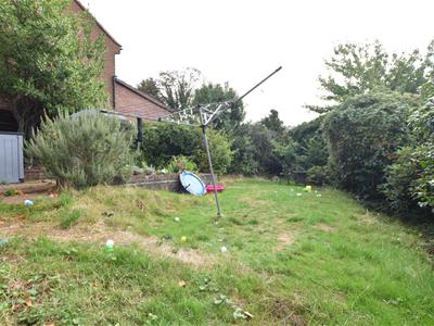 Picture 11
